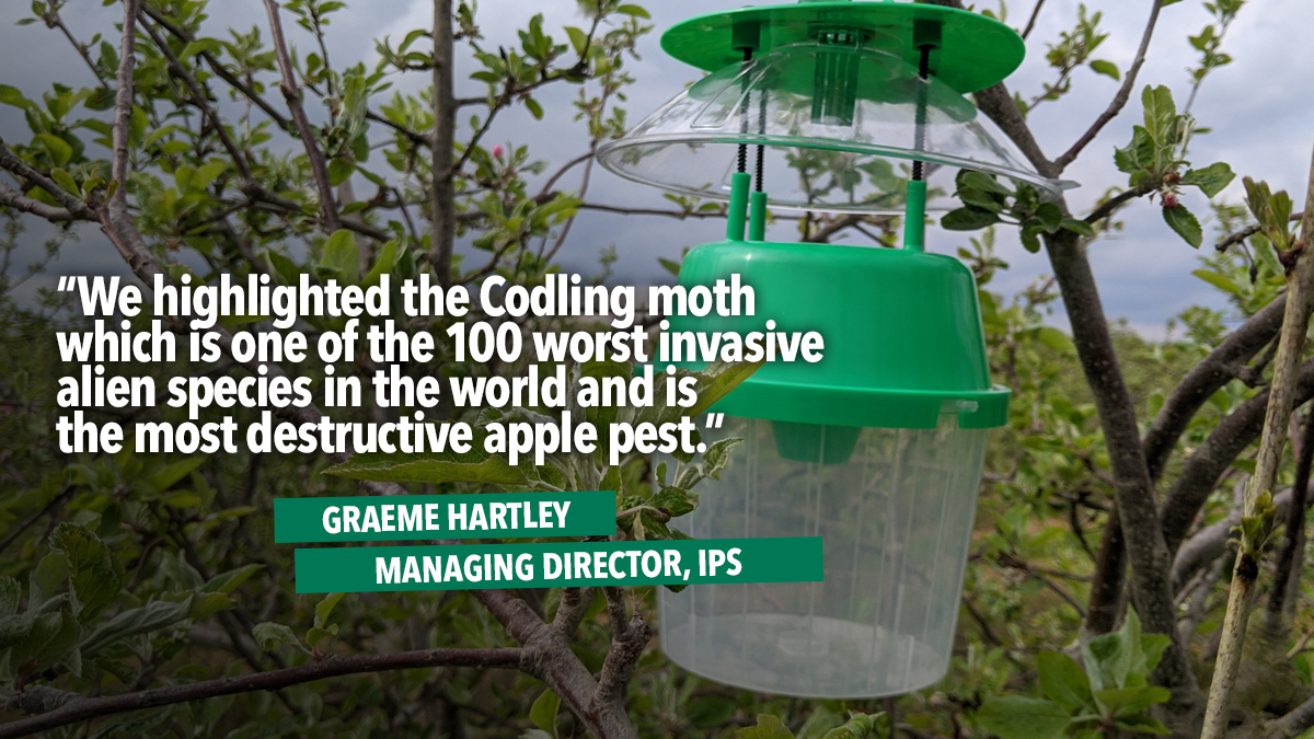 Funding-secured-for-gadget-that-identifies-apple-moth-pest